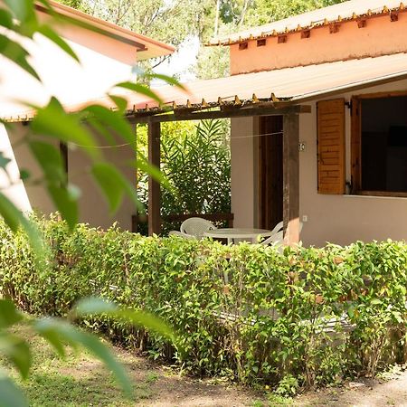 Camping Pefki Hotel Exterior photo